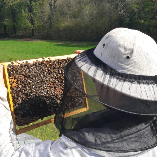 apiculteur et cadre de corps